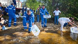 В Челябинске выпустили более 11 тысяч мальков сазана в Шершневское водохранилище