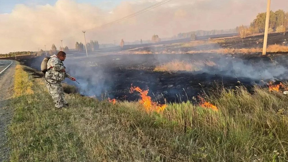 Ландшафтный пожар в Карталинском округе локализовали