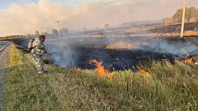 Ландшафтный пожар в Карталинском округе локализовали