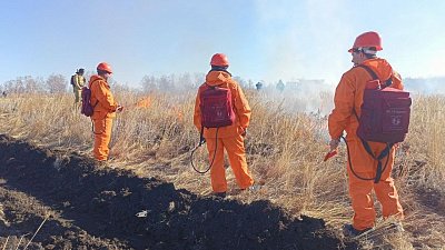 За двое суток в Челябинской области зафиксировали более 30 лесных пожаров