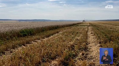 В Челябинской области продолжается уборочная кампания