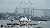 В центре Челябинска верблюды «переехали» на воду и украсили фонтан