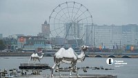 В центре Челябинска верблюды «переехали» на воду и украсили фонтан