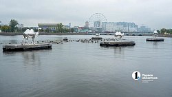 В центре Челябинска верблюды «переехали» на воду и украсили фонтан