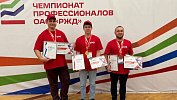 Названы победители областного этапа конкурса «Лучший по профессии»