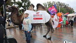 Коста Лакоста выступил в Челябинске на гастрофестивале «Блюда от верблюда»