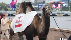 Коста Лакоста выступил в Челябинске на гастрофестивале «Блюда от верблюда»