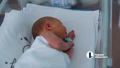 Челябинка заработала на вымышленном ребенке 1,2 млн рублей