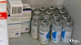 Каждый третий челябинец планирует прививаться осенью от гриппа