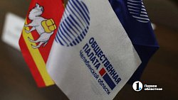 Журналисты и общественники Южного Урала обеспечат избирателей полной информацией о выборах