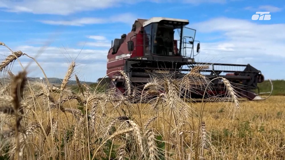 В программе «Уралым» подвели итоги лета