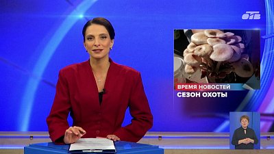 В лесах Южного Урала — изобилие грибов