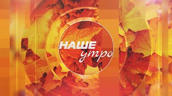 В программе «Наше утро» расскажем, как восстанавливают лес на Южном Урале