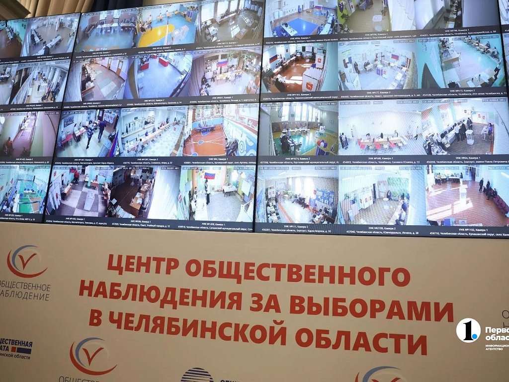 31% участников ДЭГ в Челябинской области проголосовали за первые два часа выборов