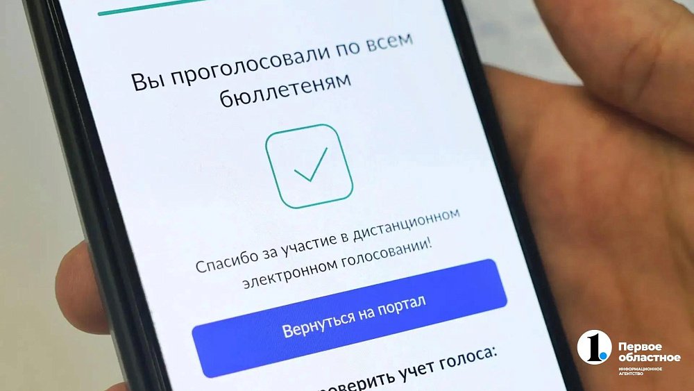 31% участников ДЭГ в Челябинской области проголосовали за первые два часа выборов