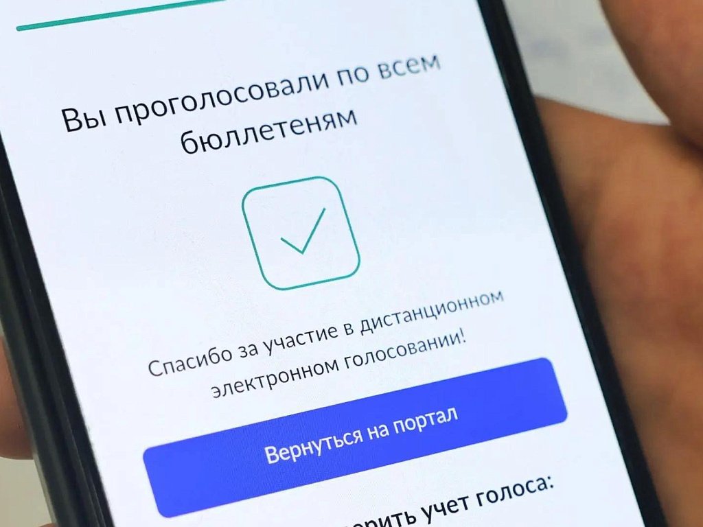 Избирком Челябинской области: явка на ДЭГ превысила 50% в первый день выборов