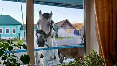 Необычная семья пришла на избирательный участок в Каслинском округе