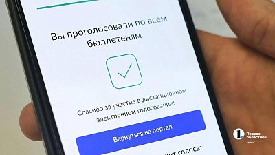 На выборах в Госдуму электронно проголосовали 70% южноуральцев, выбравших ДЭГ