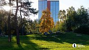 До летних +26 прогреется воздух в Челябинской области 23 сентября