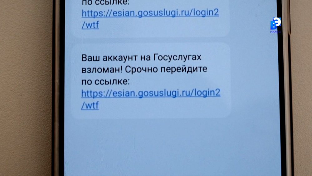 В Челябинской области заработал новый помощник на «Госуслугах» против интернет-аферистов