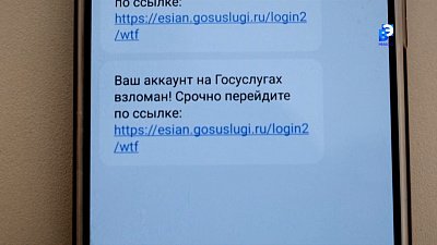 В Челябинской области заработал новый помощник на «Госуслугах» против интернет-аферистов