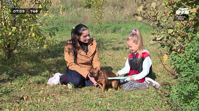 Самый юный кинолог в рубрике «Усы, лапы и хвост»