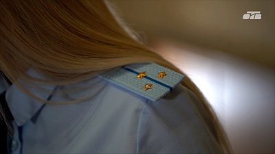 В Челябинске вынесли приговор бывшему сотруднику аграрного университета