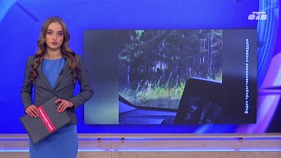 Грибники из Магнитогорска встретили семью медведей