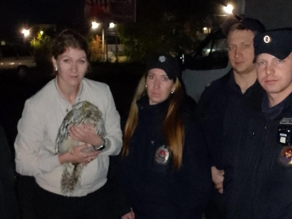 В Златоусте полицейские помогли спасти раненую сову, запертую в подсобке кафе