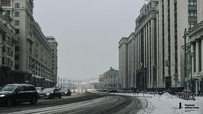 Два уральца возглавили комитеты Госдумы девятого созыва