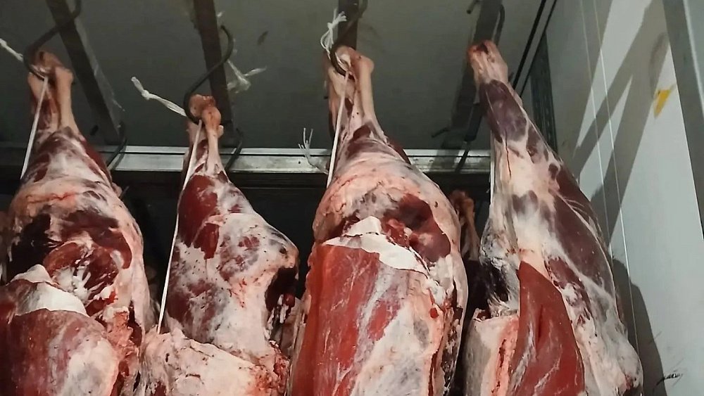 В Челябинской области задержали фуру с 15 тоннами мяса неизвестного происхождения
