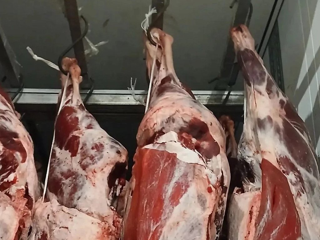 В Челябинской области задержали фуру с 15 тоннами мяса неизвестного происхождения