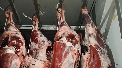 В Челябинской области задержали фуру с 15 тоннами мяса неизвестного происхождения