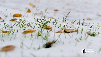 В Челябинской области установится временный снежный покров в начале октября
