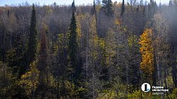 Масштабное строительство обхода Сима близится к завершению