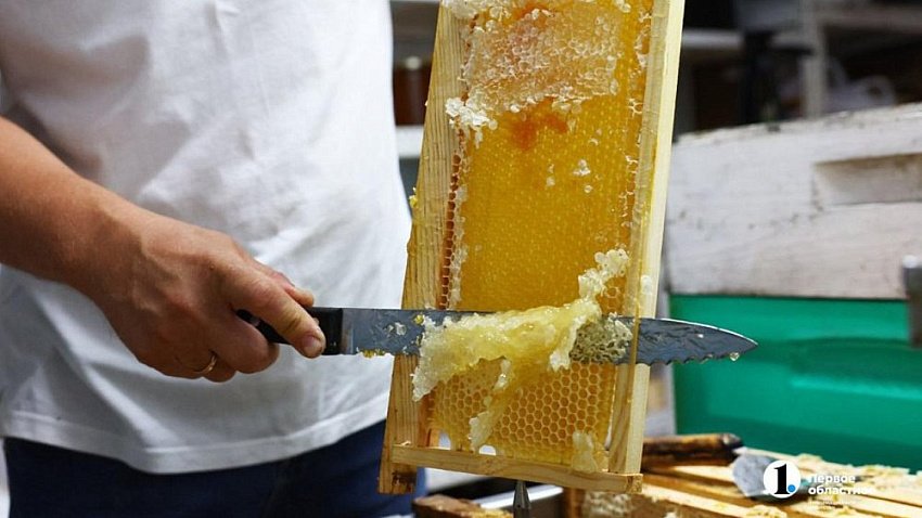 В Челябинской области цены на мед выросли на 13-15%