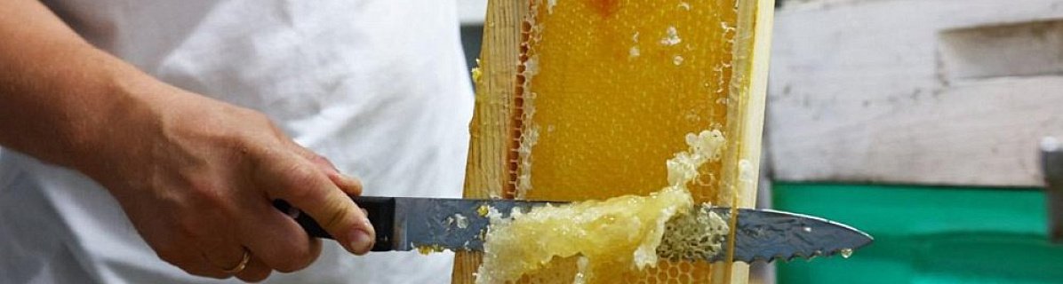 В Челябинской области цены на мед выросли на 13-15%