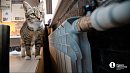 Отопительный сезон в Челябинске стартует 5 октября