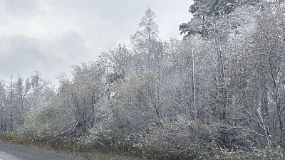 В Челябинской области выпал первый снег 3 октября
