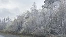 В Челябинской области выпал первый снег 3 октября