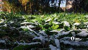 Аграрии Южного Урала из‑за снега приостановили полевые работы