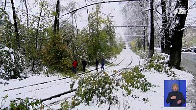 В Челябинской области выпал первый снег