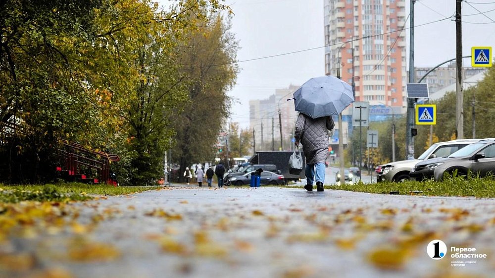 Ветрено и дождливо будет в Челябинской области 7 октября