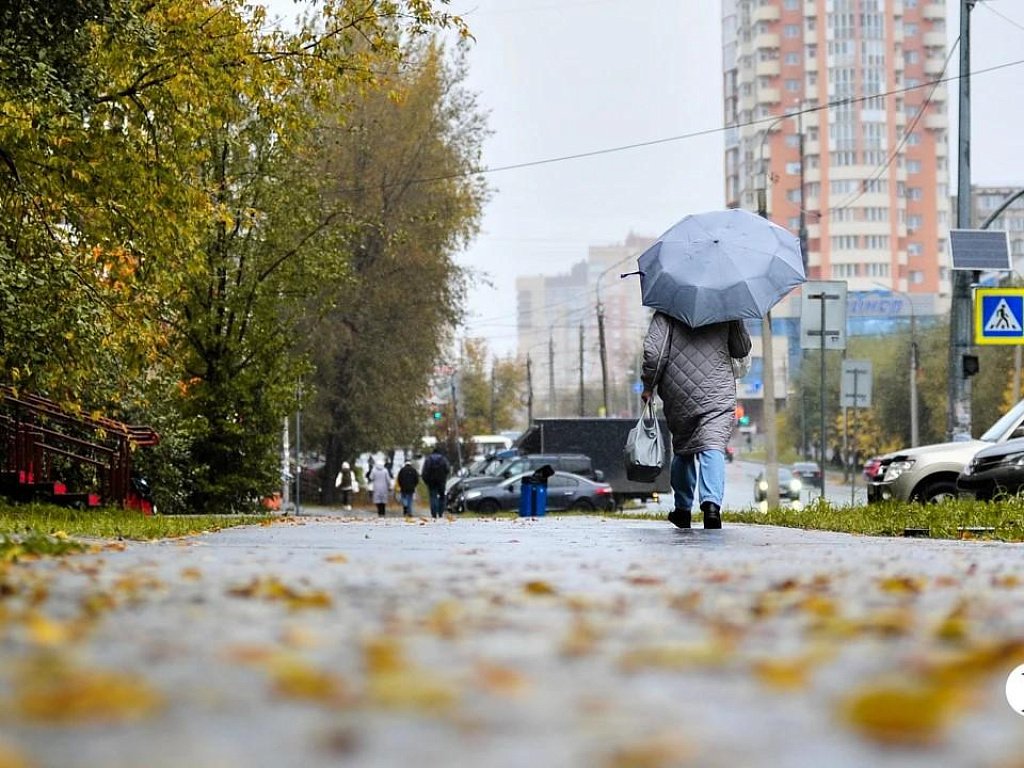 Ветрено и дождливо будет в Челябинской области 7 октября