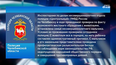 В Челябинске инспекторы посетили семью малолетнего мучителя кота