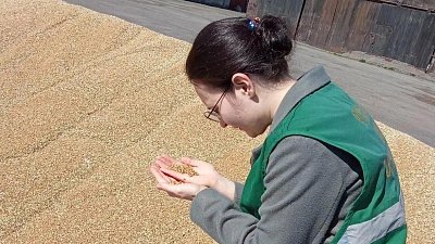 Челябинская область отгрузила 62 тыс. тонн зерновых в регионы РФ