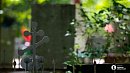 У челябинцев набирают популярность экскурсии по кладбищам