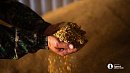 Алексей Текслер: «Труд аграриев обеспечивает продовольственную безопасность страны»