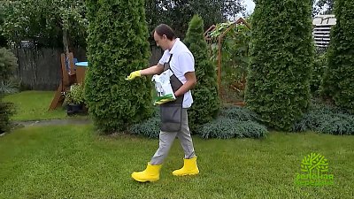 Что обязательно сделать в саду перед первыми заморозками
