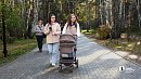 На 6 градусов выше нормы поднимется температура на Южном Урале 13 октября